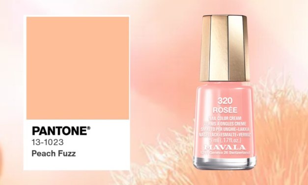 Pantone Colour 2024