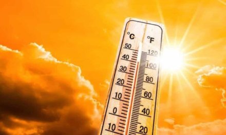 UK Heatwave Skincare Essentials