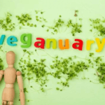 Top Beauty Picks for Veganuary