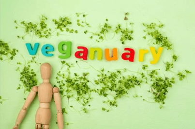Top Beauty Picks for Veganuary